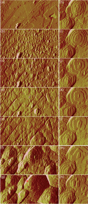 images of the growing facet of a HKUST-1 crystal