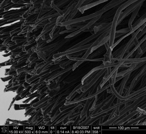 carbon nanotube cotton yarn