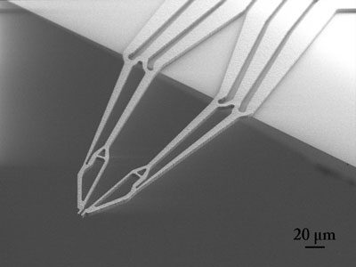 Overview of the free-hanging topology-optimized microgripper pointing out from the front edge of the chip