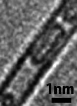A TEM image of a carbon nanotube capsule within a carbon nanotube