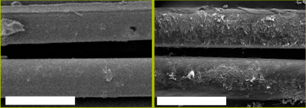 SEM images of Kevlar fibres before (left) and after (right) the treatment in nanotube suspension
