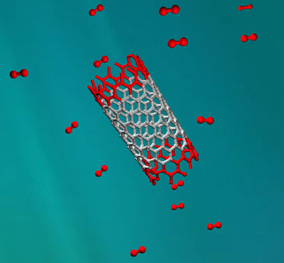 Schematic illustration of a single walled carbon nanotube clone