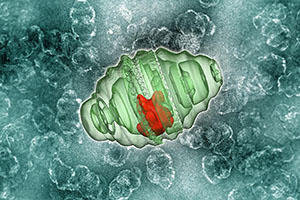 Nanotechnology in Cancer Treatment