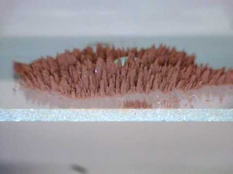 Creating a magnetic liquid marble