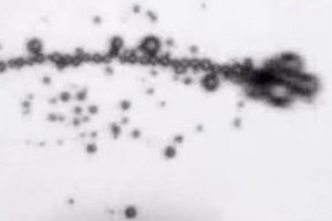 Micro- and nanomotors powered by water as the sole fuel source